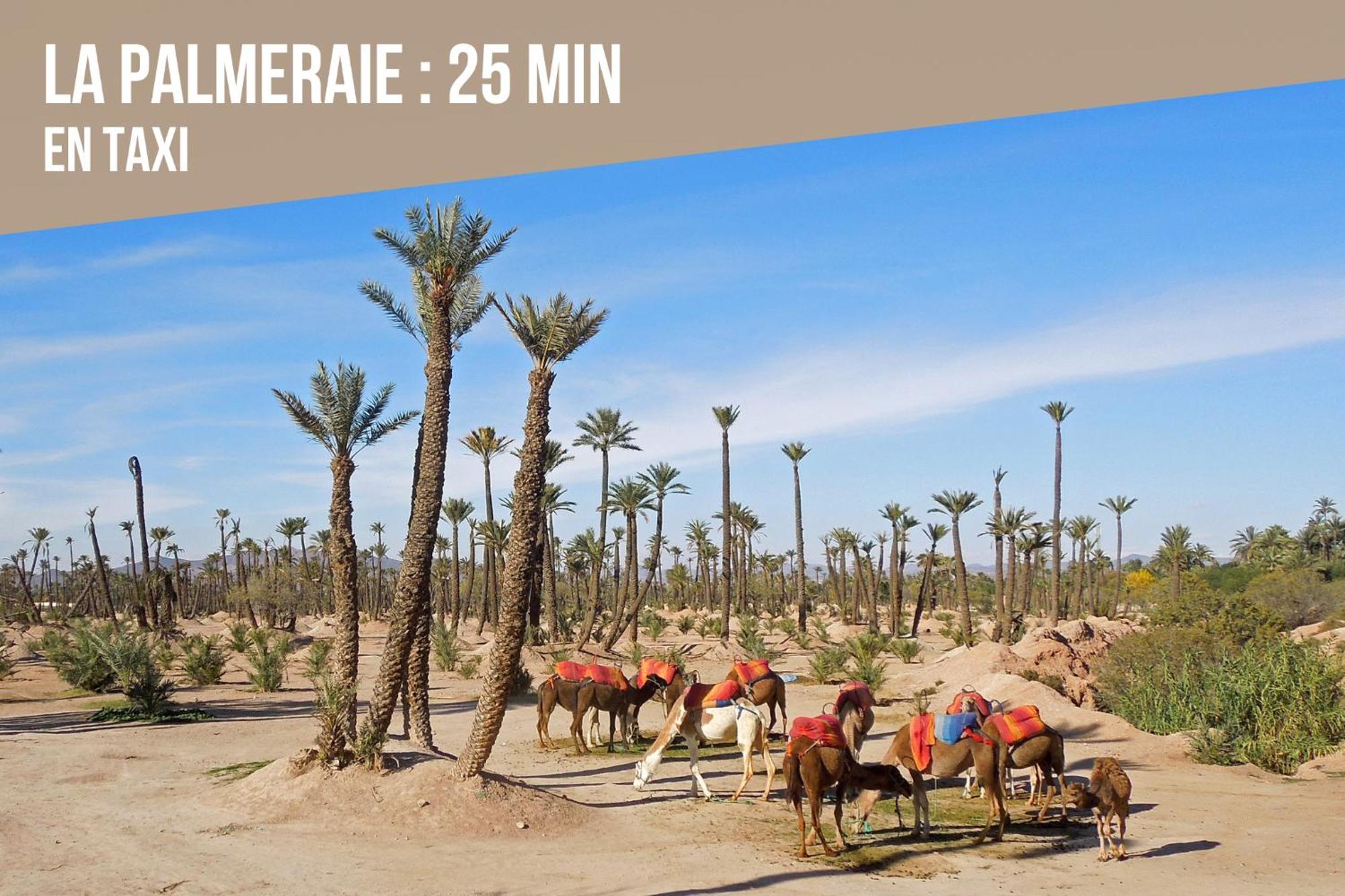 Magnifique Appartement Moderne De 2 Chambres Avec Piscine A 10 Min Du Centre De Marrakech Μαρακές Εξωτερικό φωτογραφία